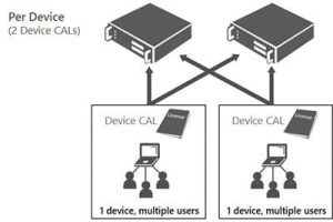 Graphic to show two Device CALs are needed per device but can service multiple users