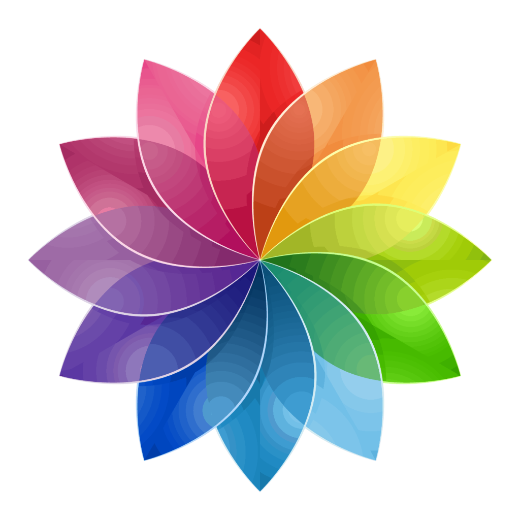 red, blue, orange, yellow, pink and purple Color wheel flower logo
