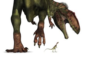 trex and velociraptor small