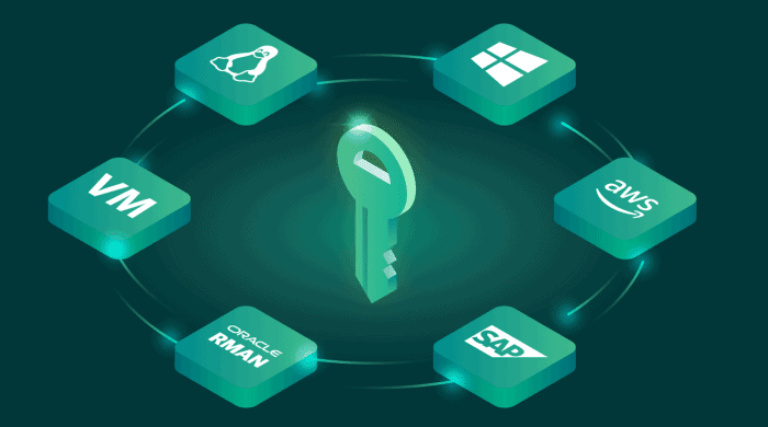 different software apps circling a green key