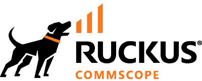 RUCKUS - Managed Services IT Provider | Outsourced IT Services Mirazon