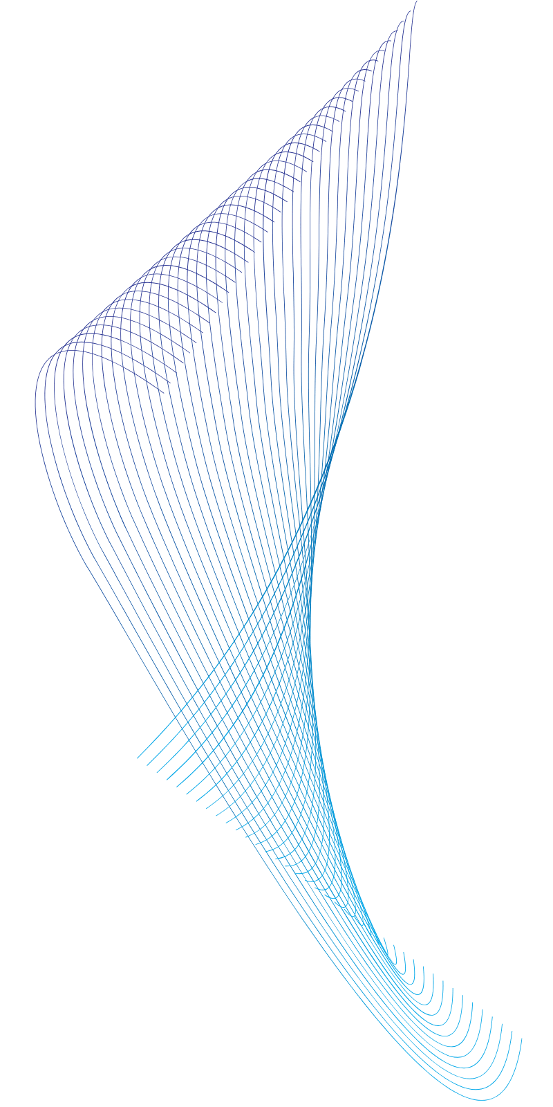 wave (1)