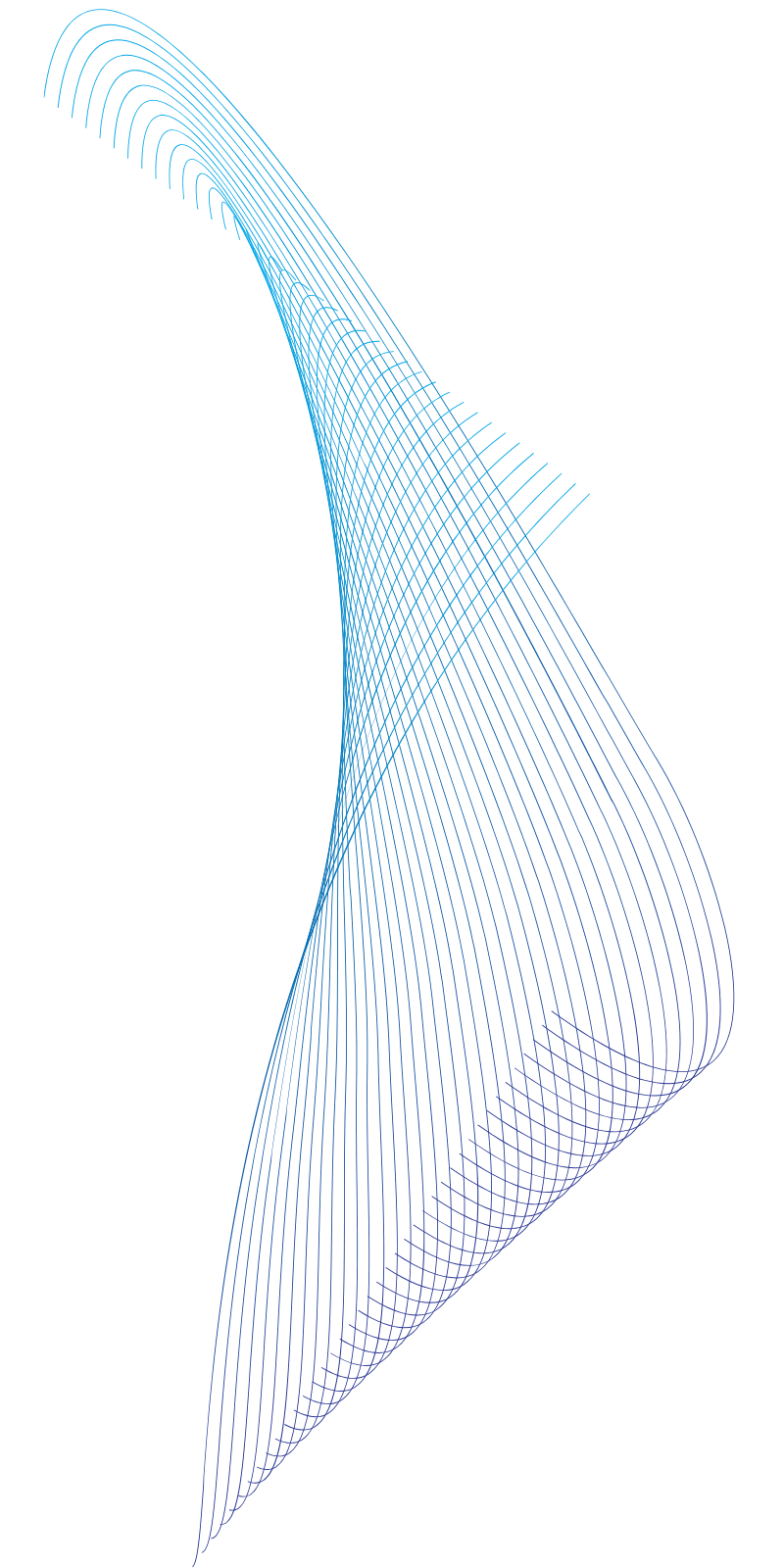 wave