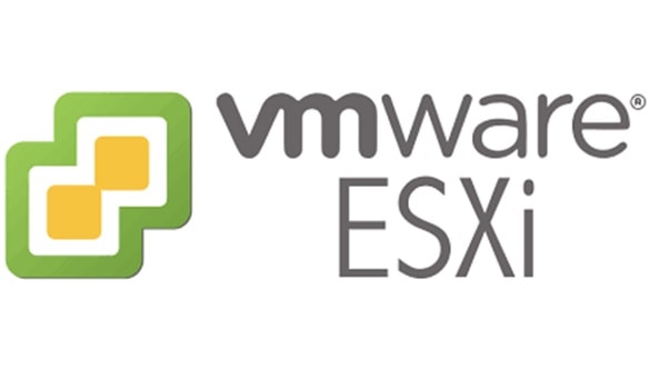 ESXi Vulnerabilities