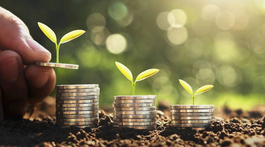 close up of silver coins stacked in soil that are sprouting small leaves