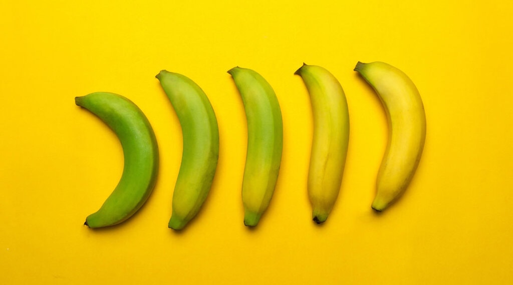 Ripening Banana on Yellow Background