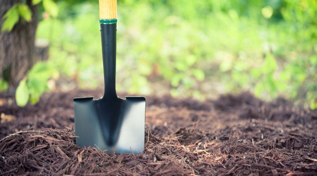 close up of a black shovel dug into the dirt.