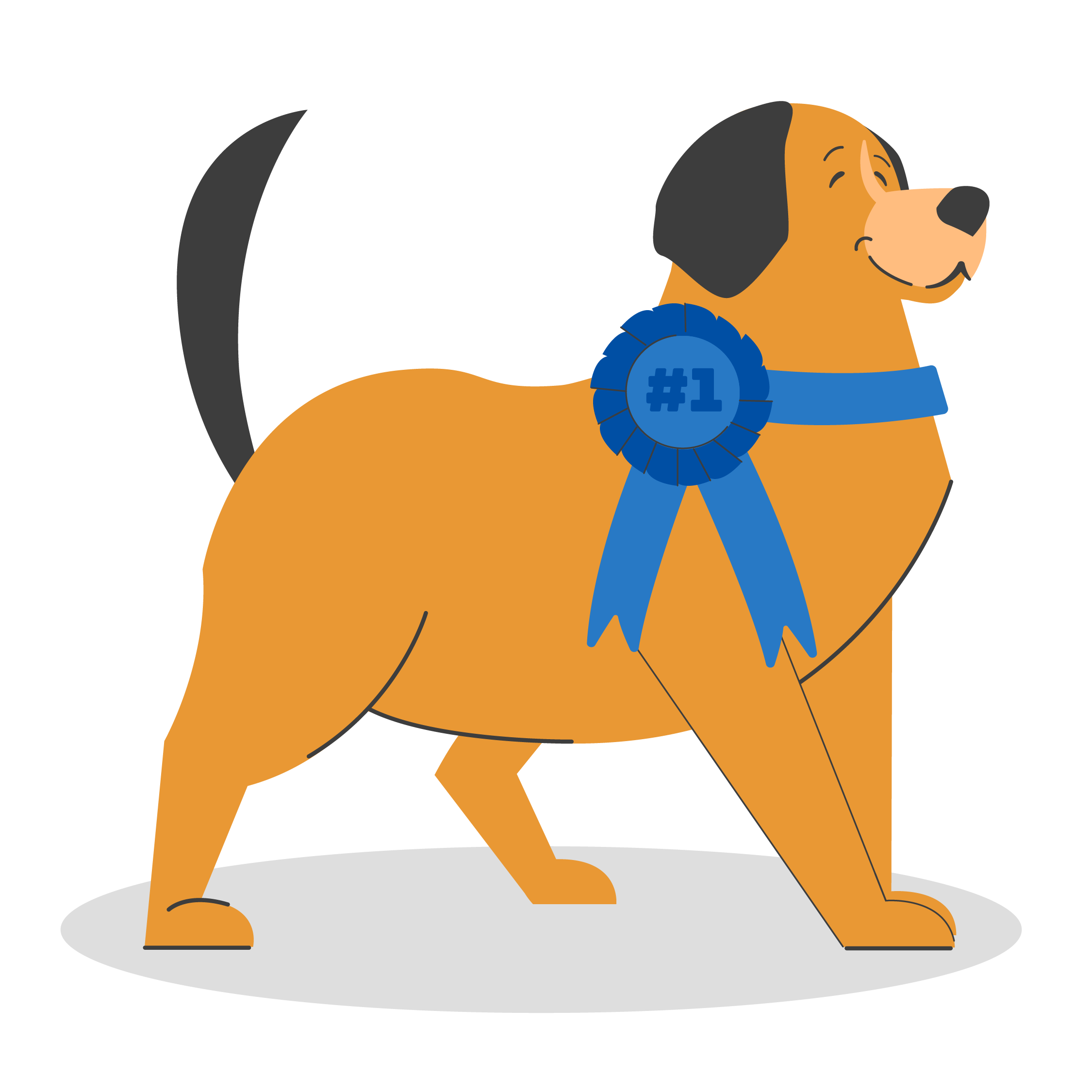 animated brown dog with a blue first place ribbon on collar